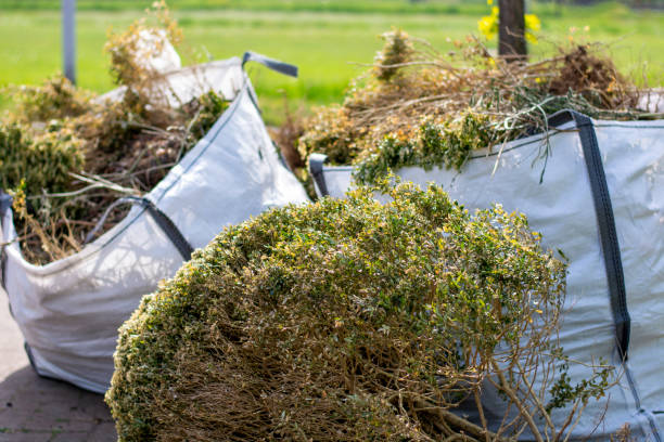 Best Junk Removal Near Me  in Croydon, PA